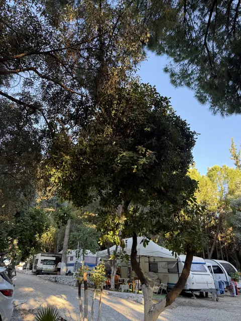 Kuşadası Marina Camping galeri fotoğrafı 13