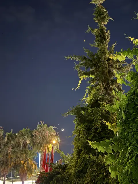Kuşadası Marina Camping galeri fotoğrafı 14