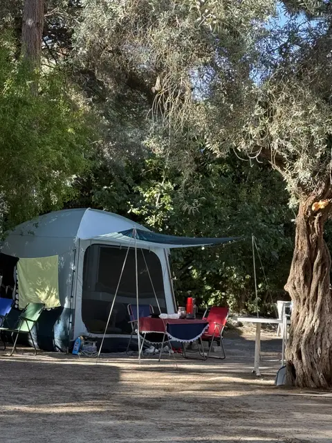 Kuşadası Marina Camping galeri fotoğrafı 20