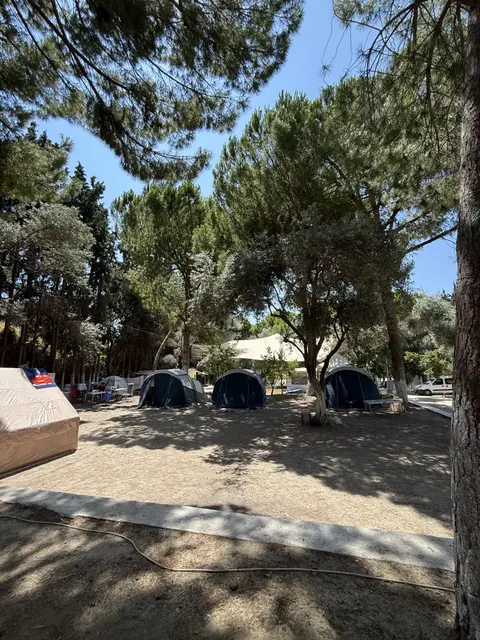 Kuşadası Marina Camping galeri fotoğrafı 21