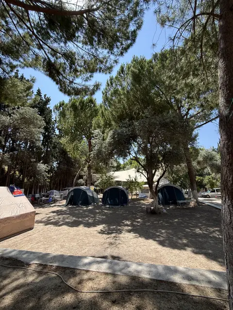 Kuşadası Marina Camping galeri fotoğrafı 22